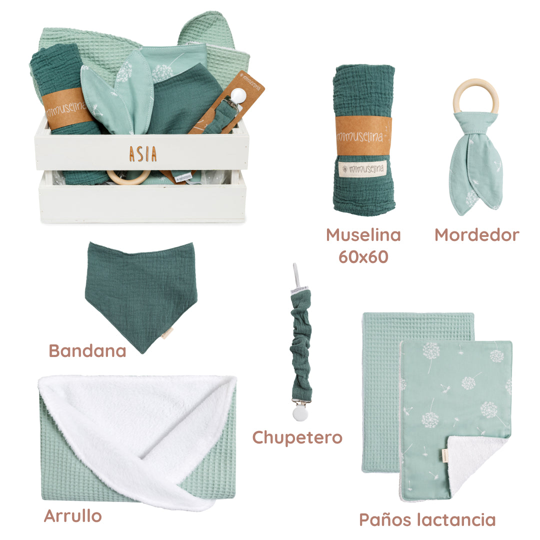 Canastilla Asia (draft) 10