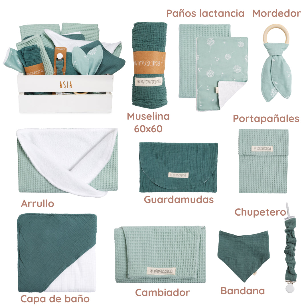 Canastilla Asia (draft) 27