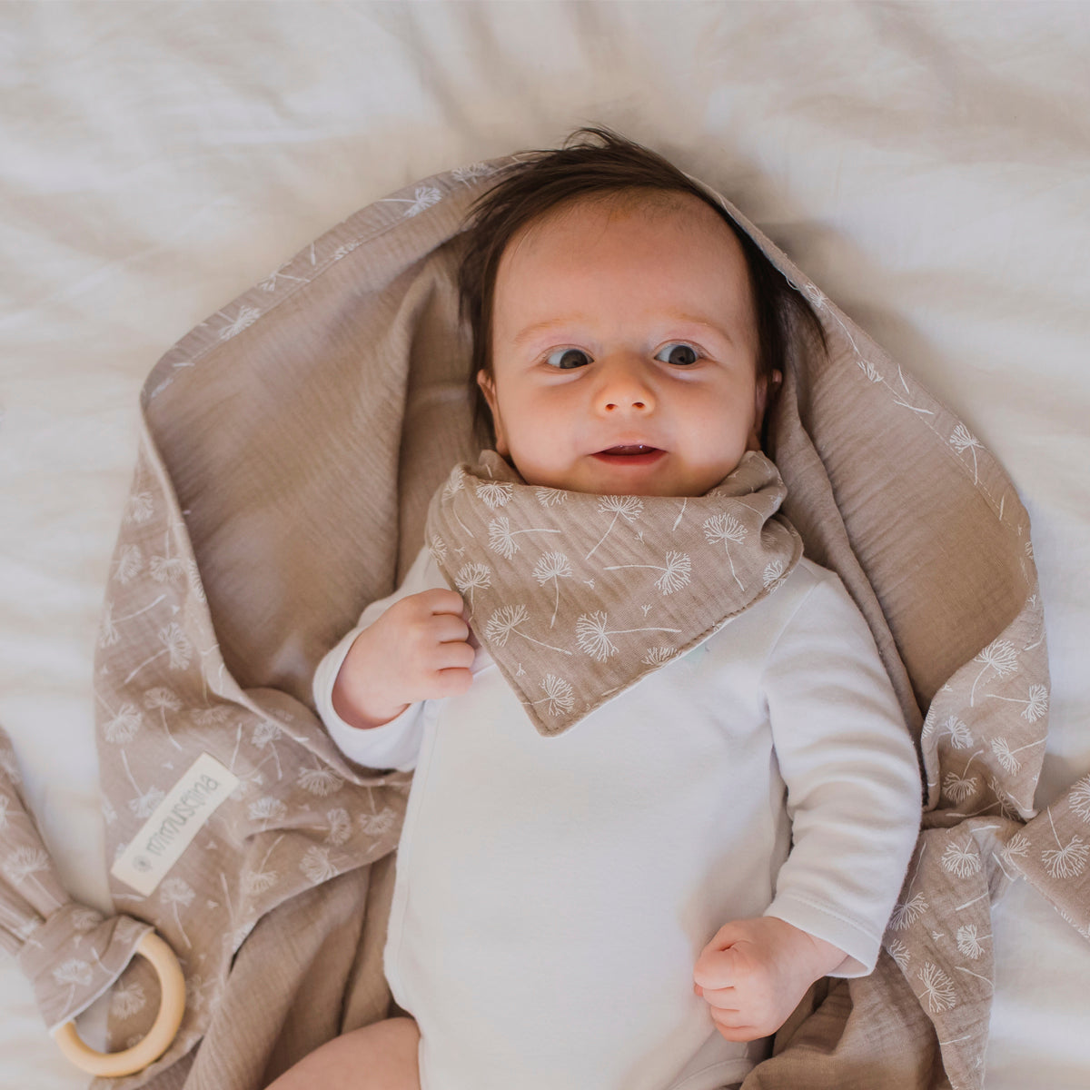 Pack de cinco bandanas quitababas 23