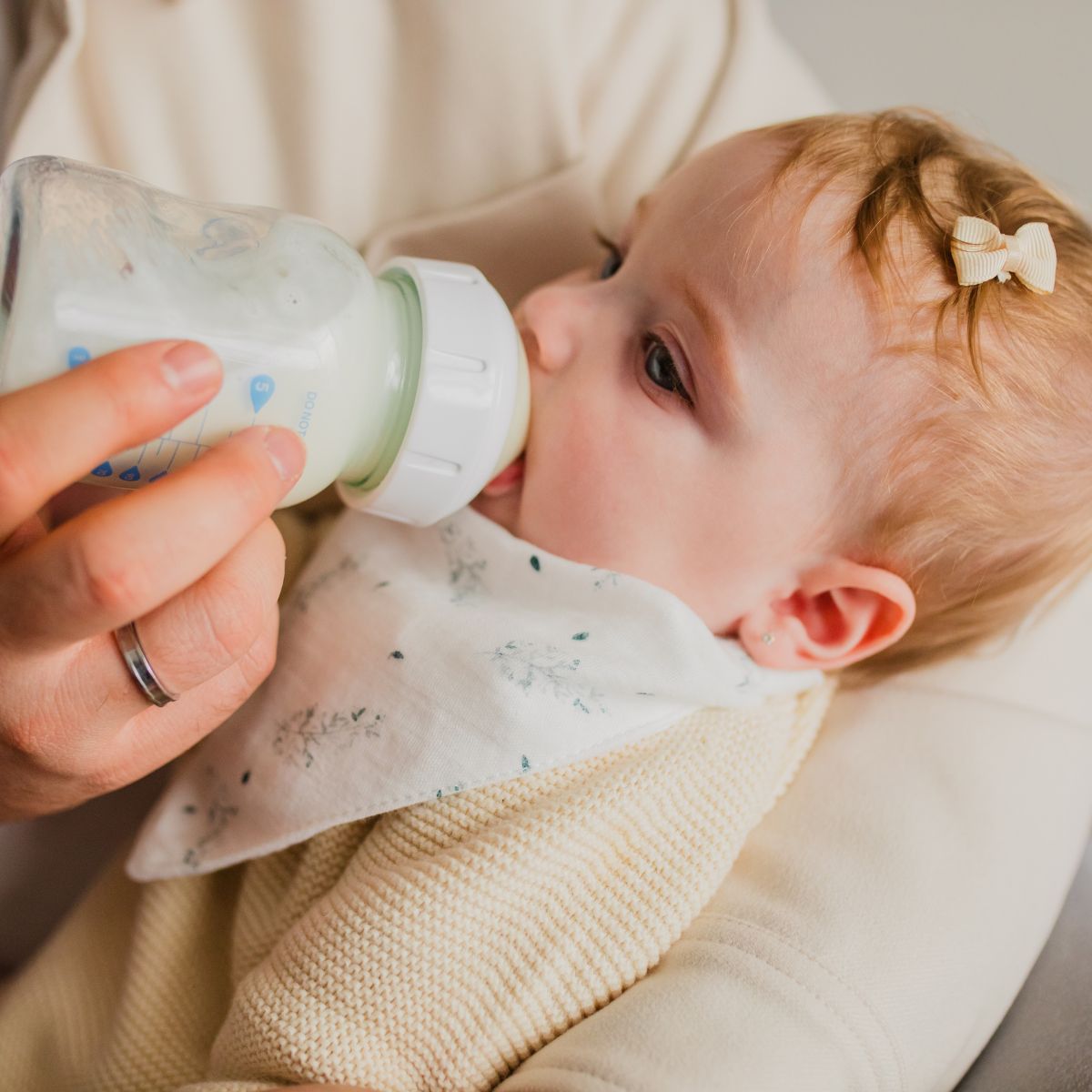 Pack de cinco bandanas quitababas 27