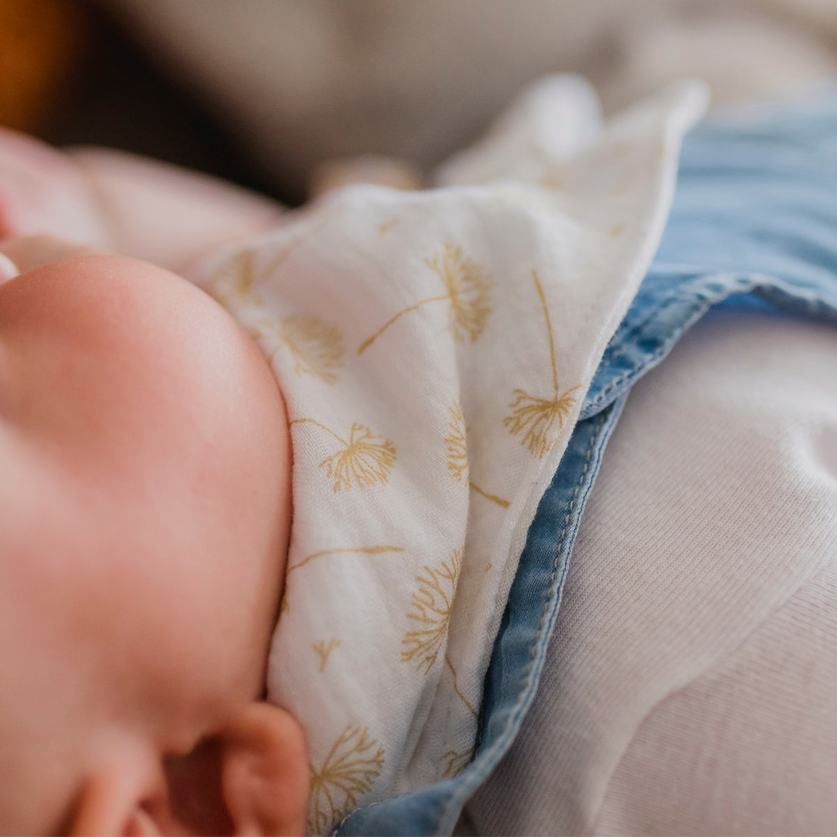 Pack de cinco bandanas quitababas 24