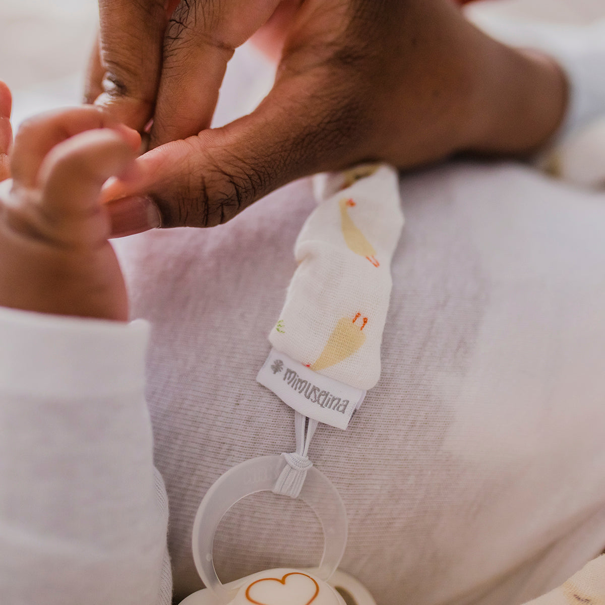 Chupetero Mimuselina 14