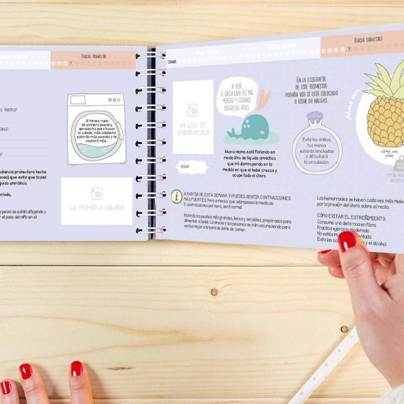 Manos sosteniendo un diario de embarazo abierto con ilustraciones de una piña y una lavadora, y texto explicativo sobre el desarrollo del bebé.