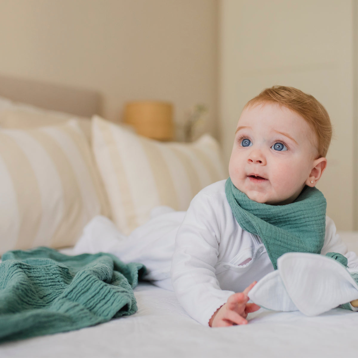 Canastilla Asia (draft) 11