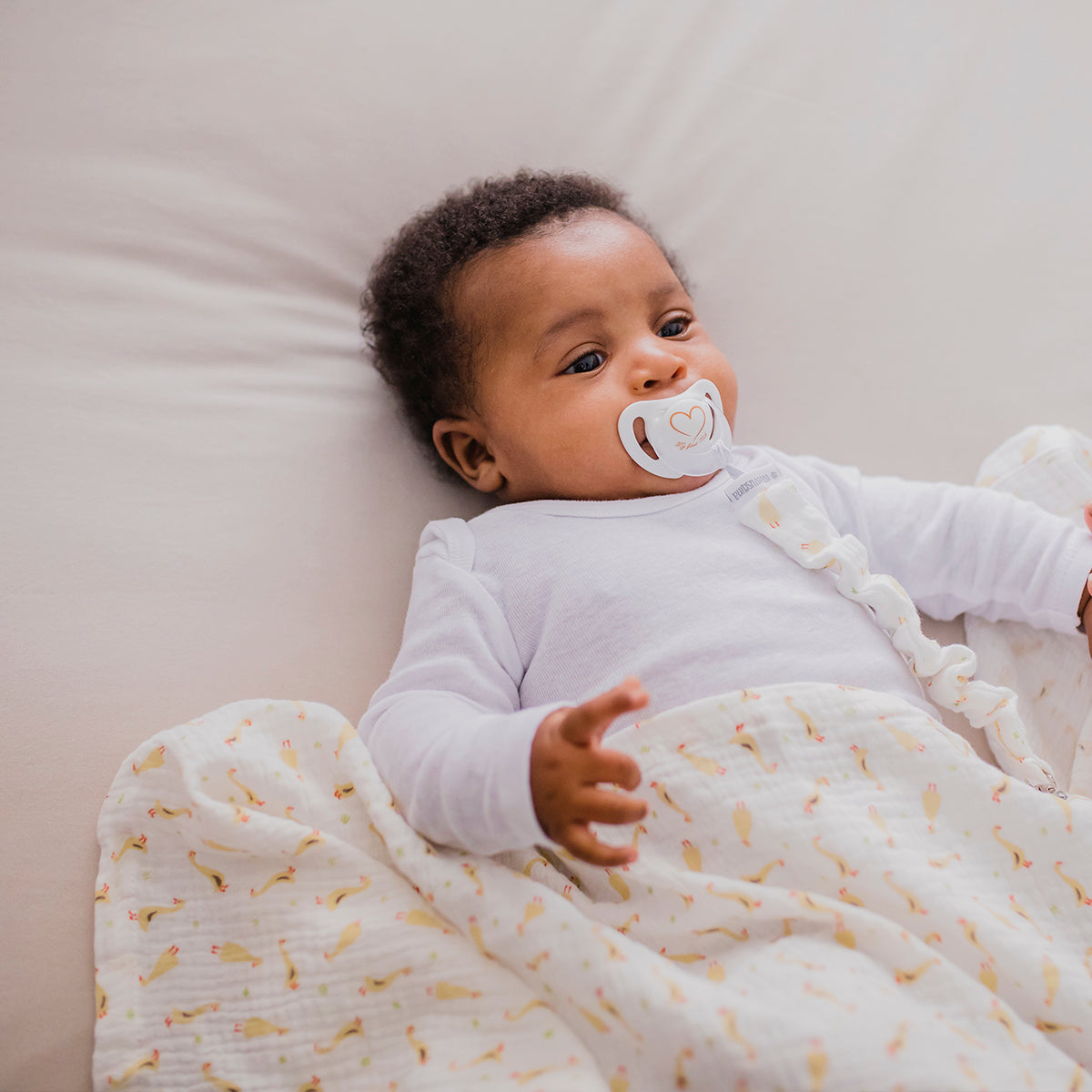 Chupetero Mimuselina 13