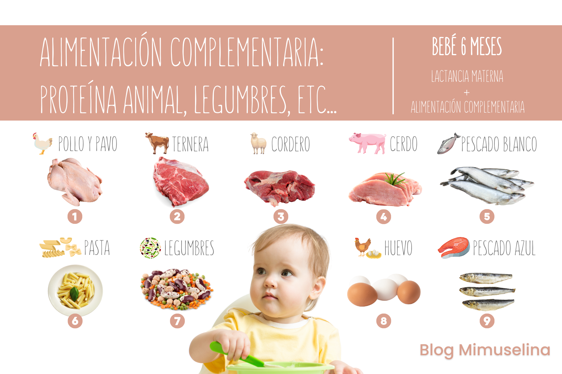 Alimentación complementaria bebé: carne, pescado, huevo, legumbres