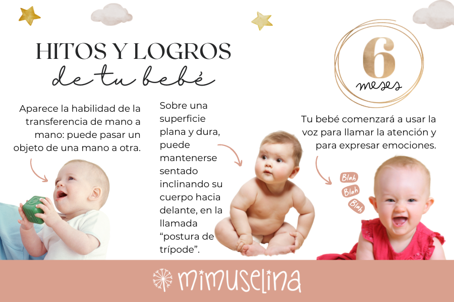 Hitos del desarrollo y logros del bebé de 6 meses