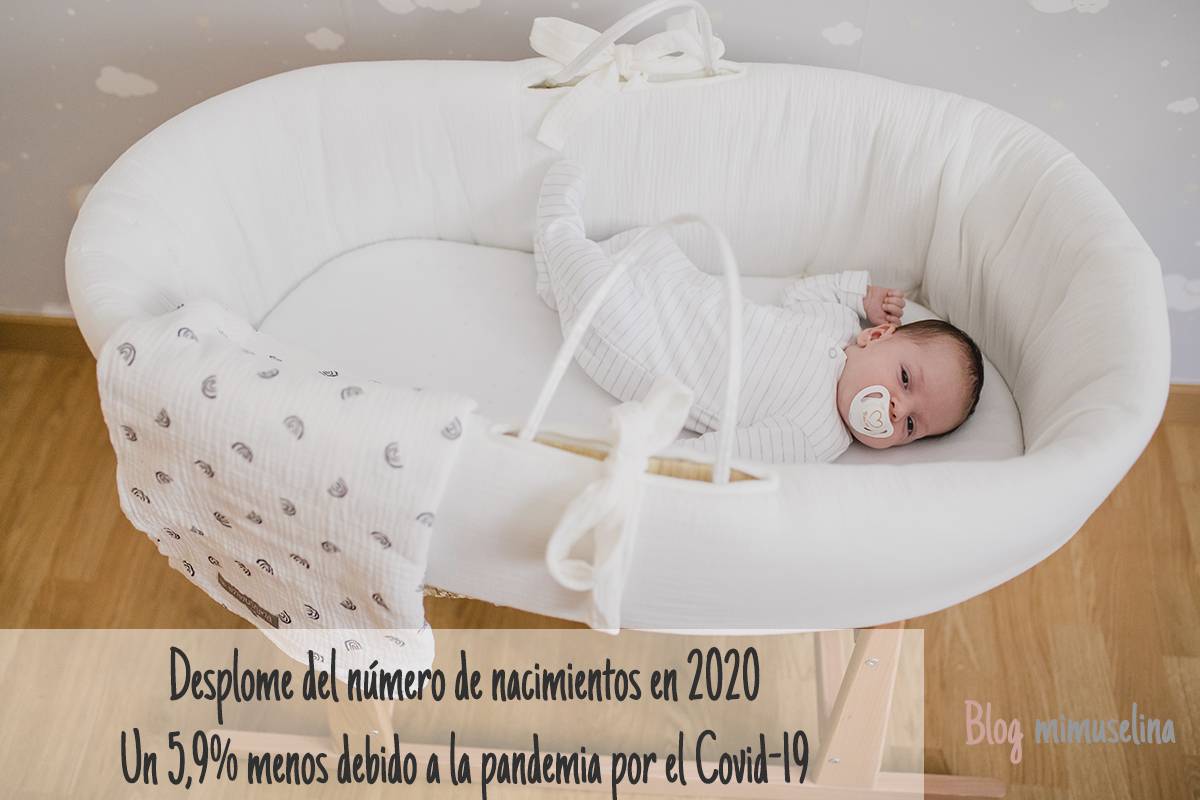 CAida de los nacimientos blog mimuselina INE pandemia