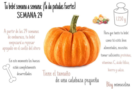 semana 29 de embarazo blog mimuselina