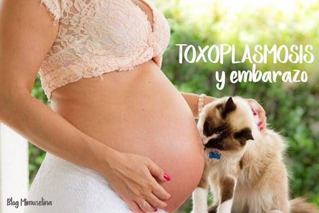 toxoplasmosis-embarazada-alimentacion-salud-mimuselina