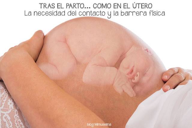 crear-un-hogar-fuera-del-utero-como-dentro-mimuselina