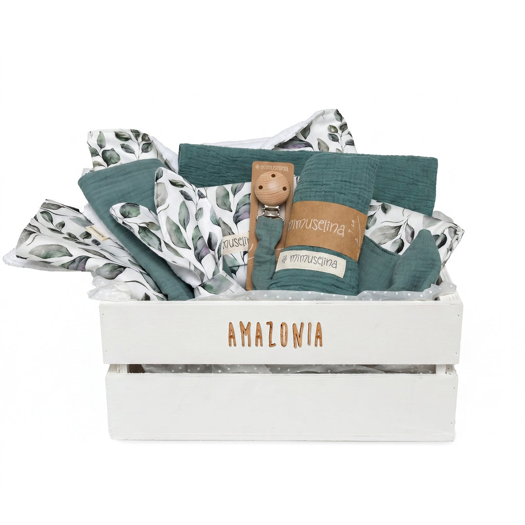 Canastilla Amazonia (draft) 12
