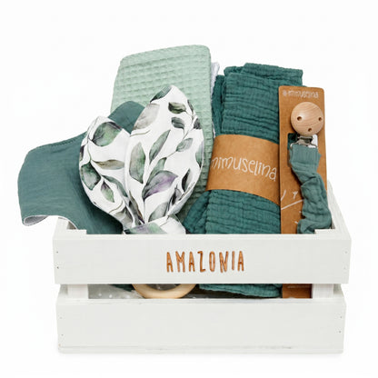 Canastilla Amazonia (draft) 1