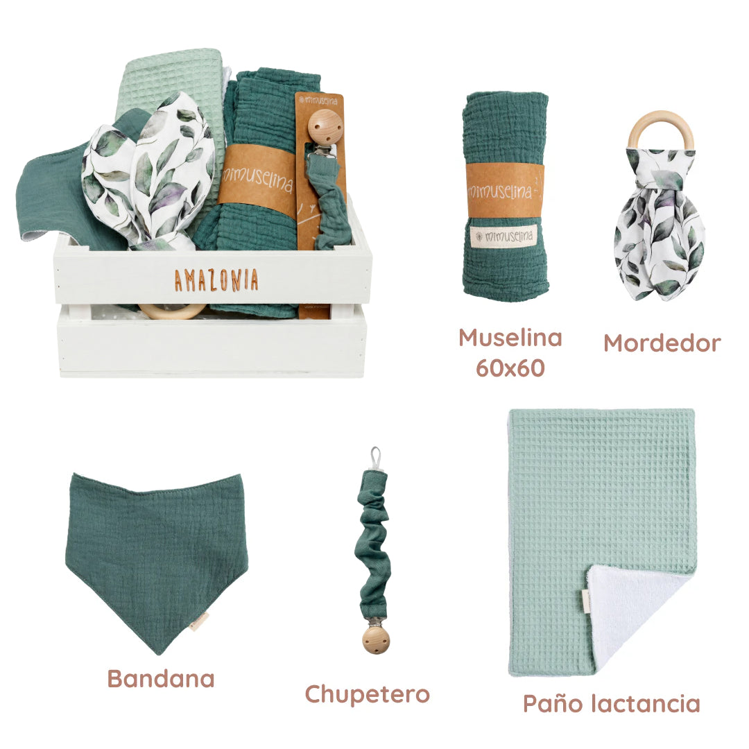 Canastilla Amazonia (draft) 3