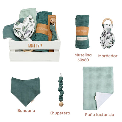 Canastilla Amazonia (draft) 3
