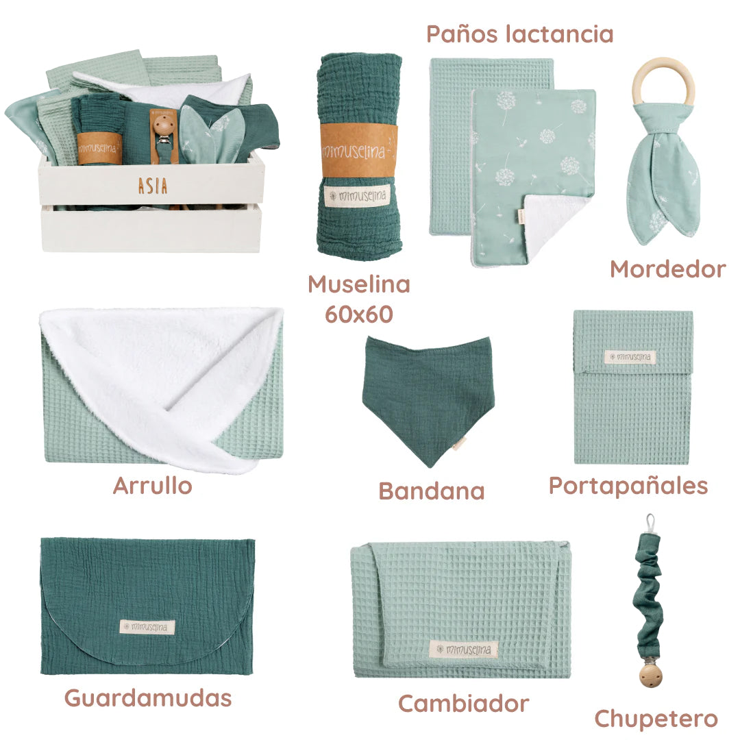 Canastilla Asia (draft) 16