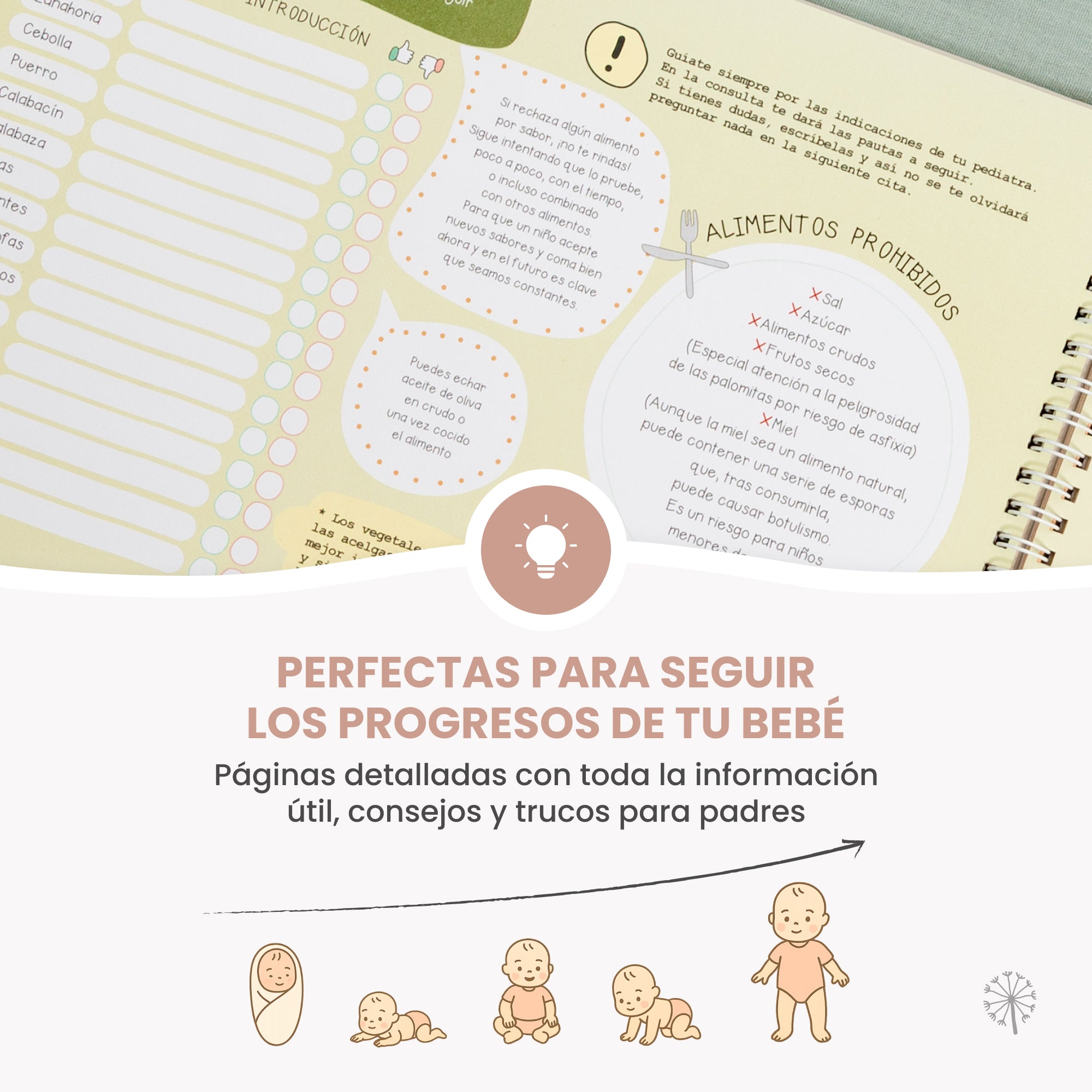 Libro El primer año del bebé