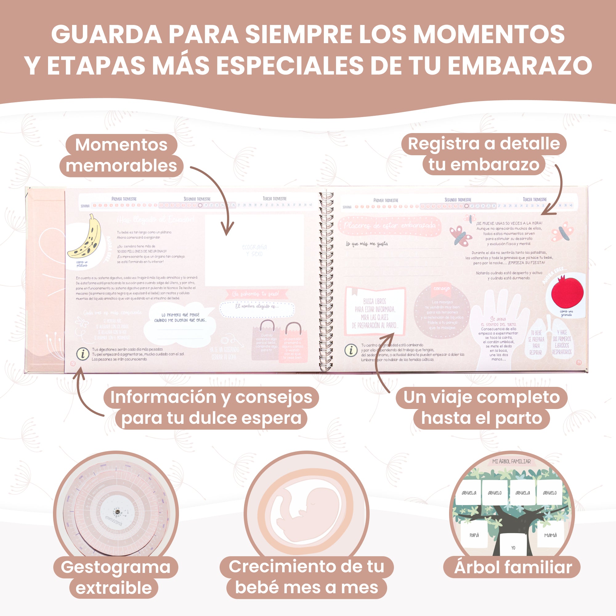 Diario de embarazo para guardar tus recuerdos