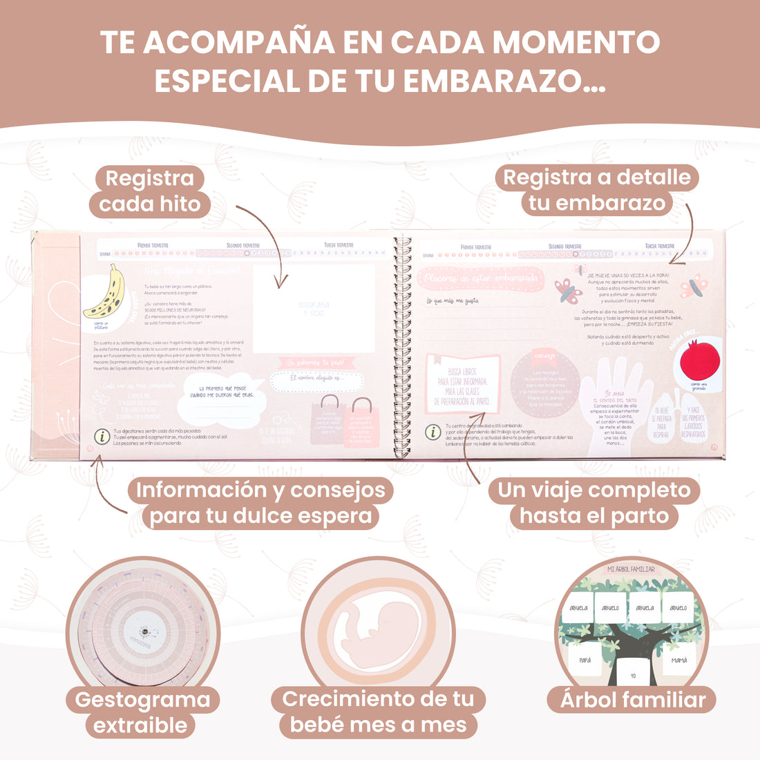 Pack Libros: EMBARAZO + PRIMER AÑO BEBÉ