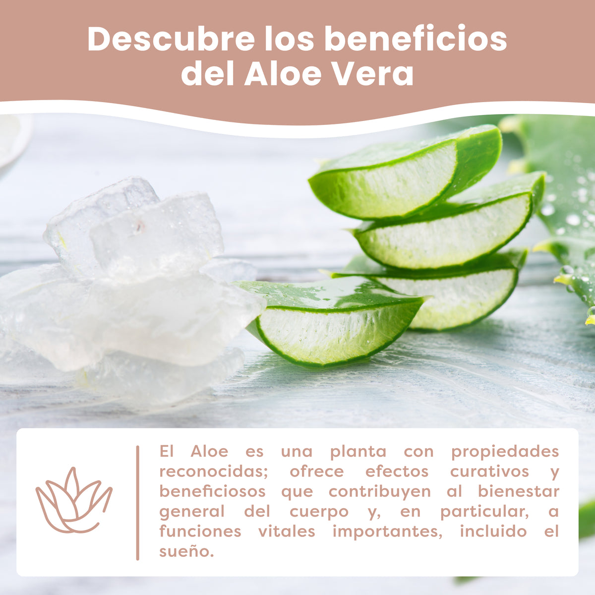 Almohada Aloe Vera para Bebé