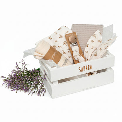 Canastilla Sahara (draft) 2