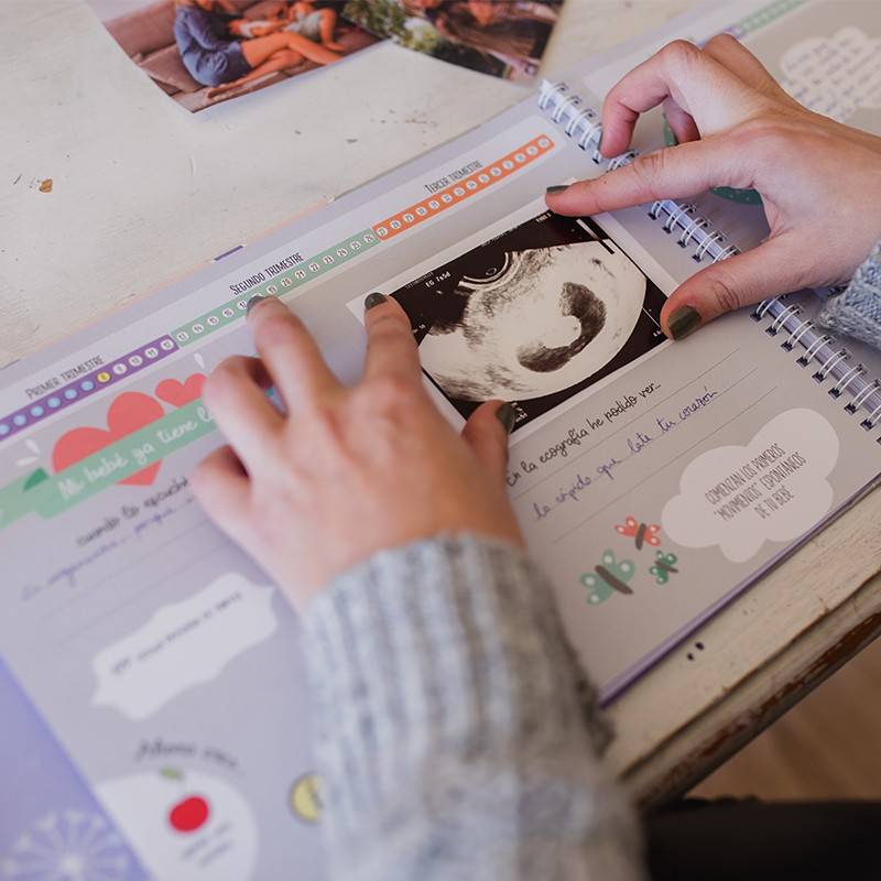 ¡Mi Libro de Registro de Embarazo: Un Diario de Embarazo de Memoria Semana  a Semana para Recuerdos y Recuerdos Con Listas de verificación Mensuales